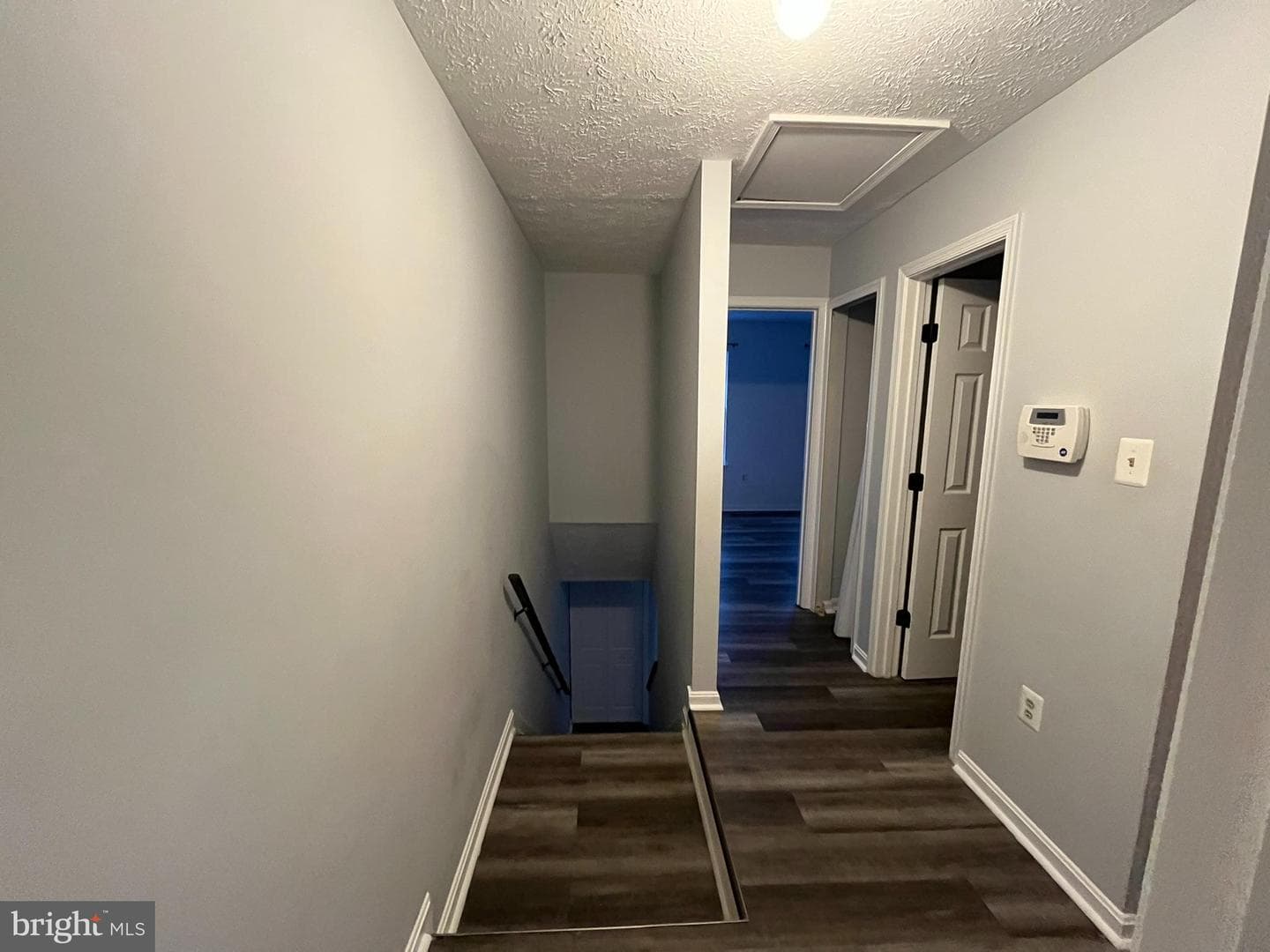 6234 Wolverine Place photo 22