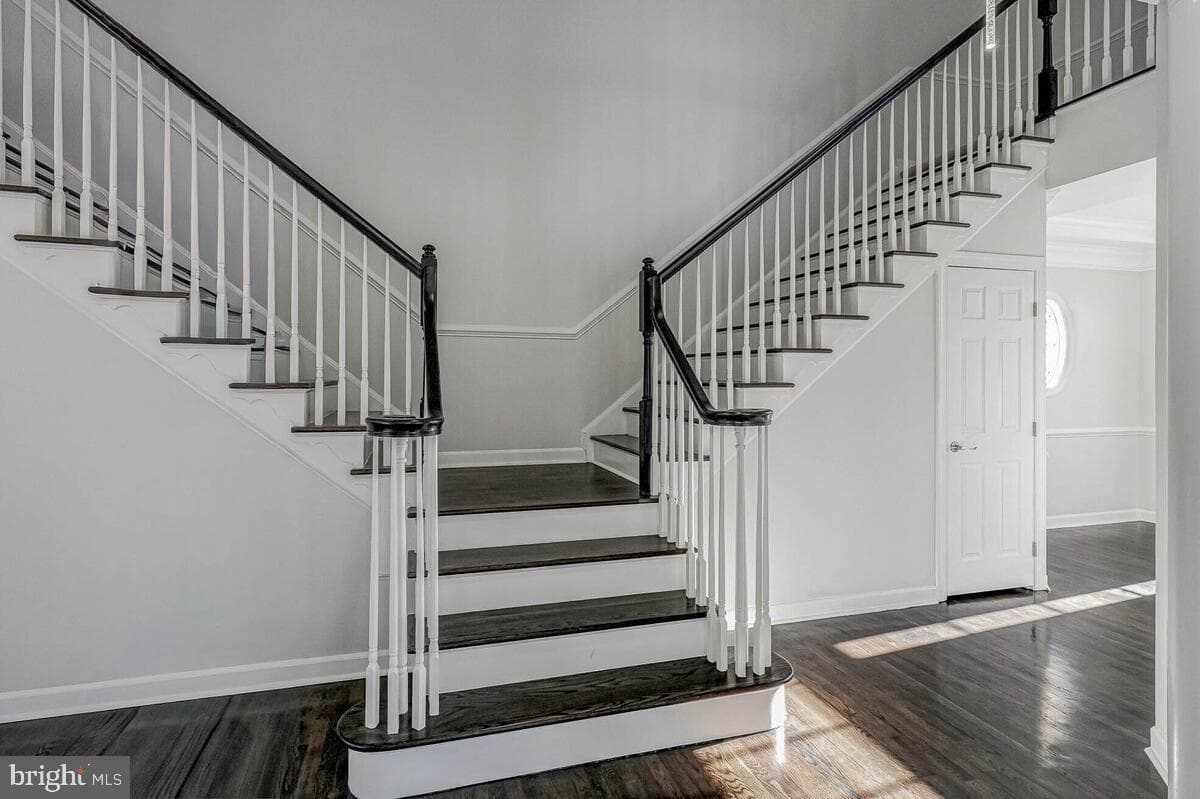 10818 Constitution Drive photo 11
