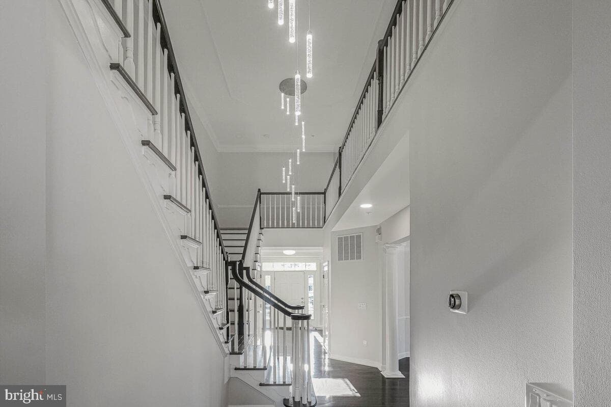 10818 Constitution Drive photo 12