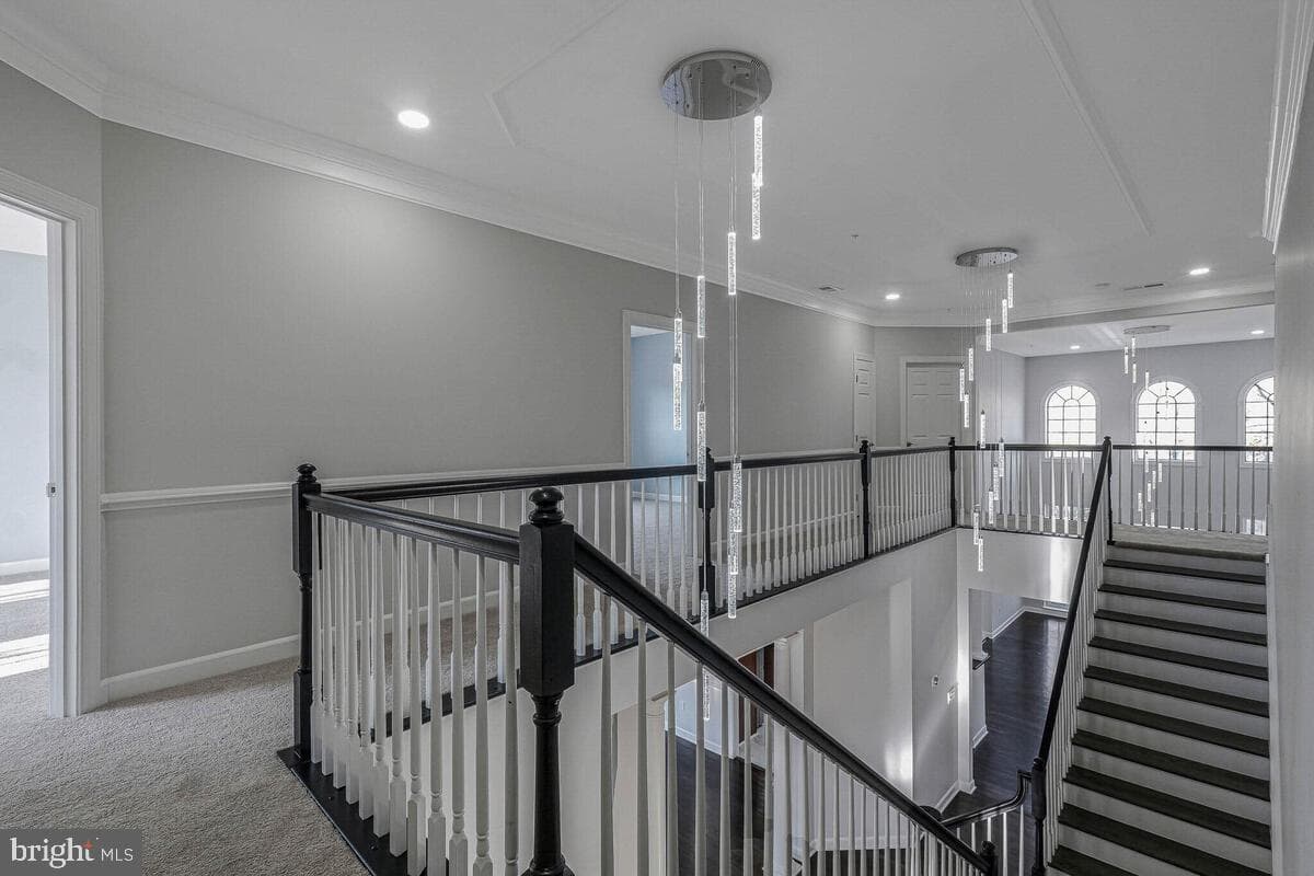 10818 Constitution Drive photo 35