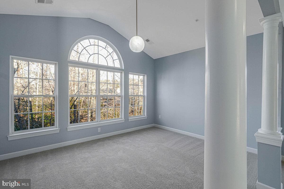 10818 Constitution Drive photo 50