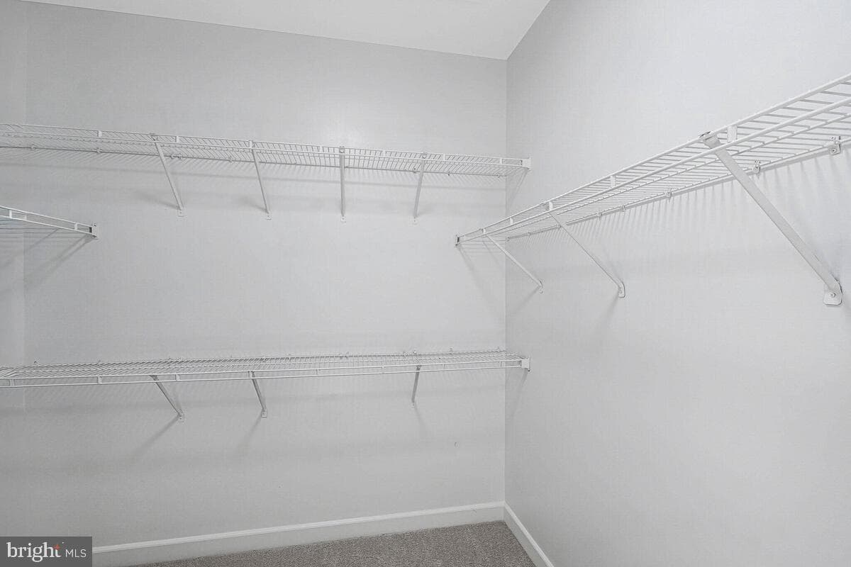 10818 Constitution Drive photo 52