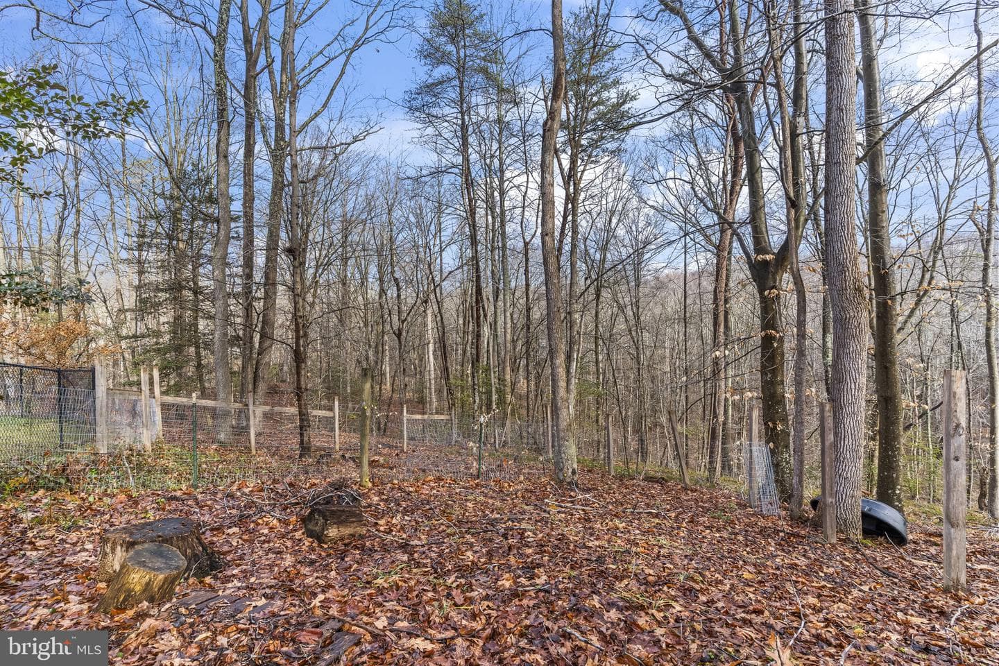 17340 Forestal Court photo 52