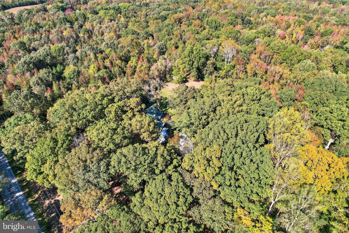 7532 Bumpy Oak Road photo 35