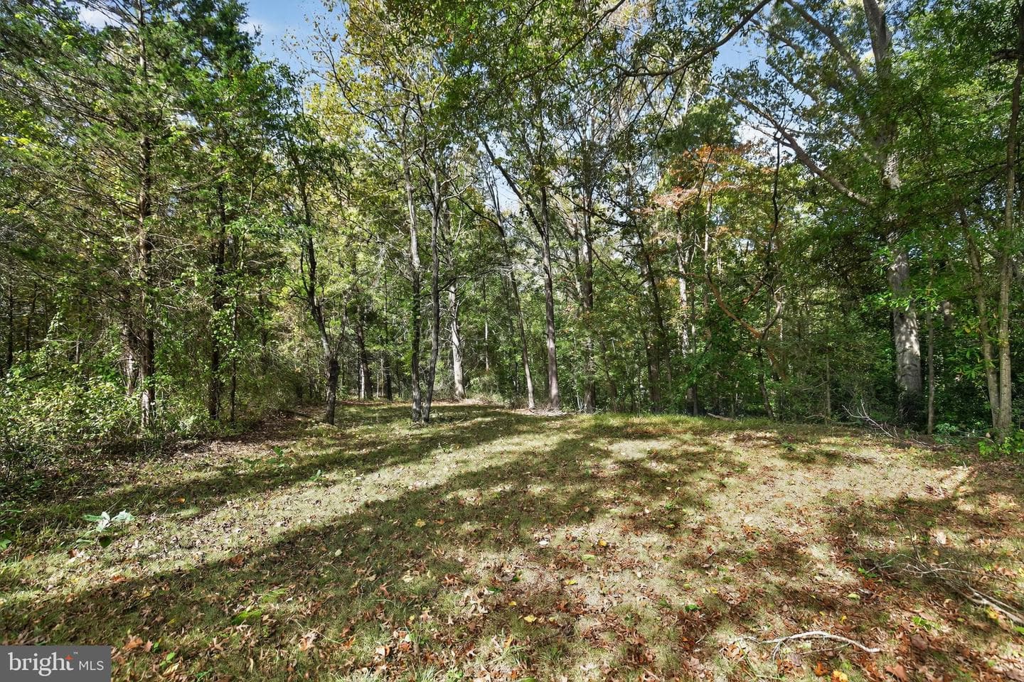 7532 Bumpy Oak Road photo 39