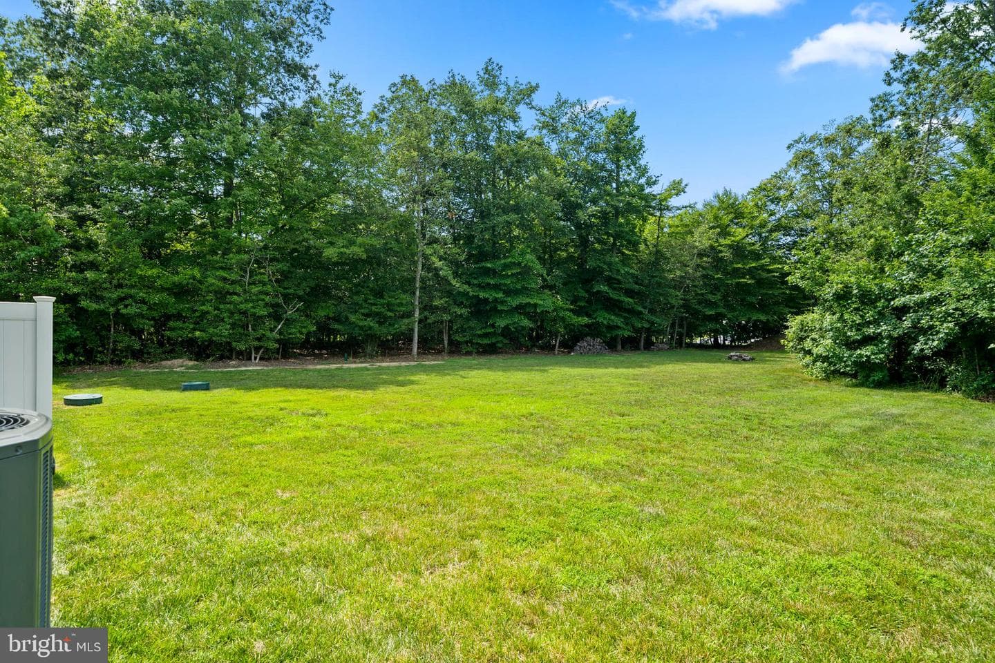 6879 S Zelkova Court photo 8