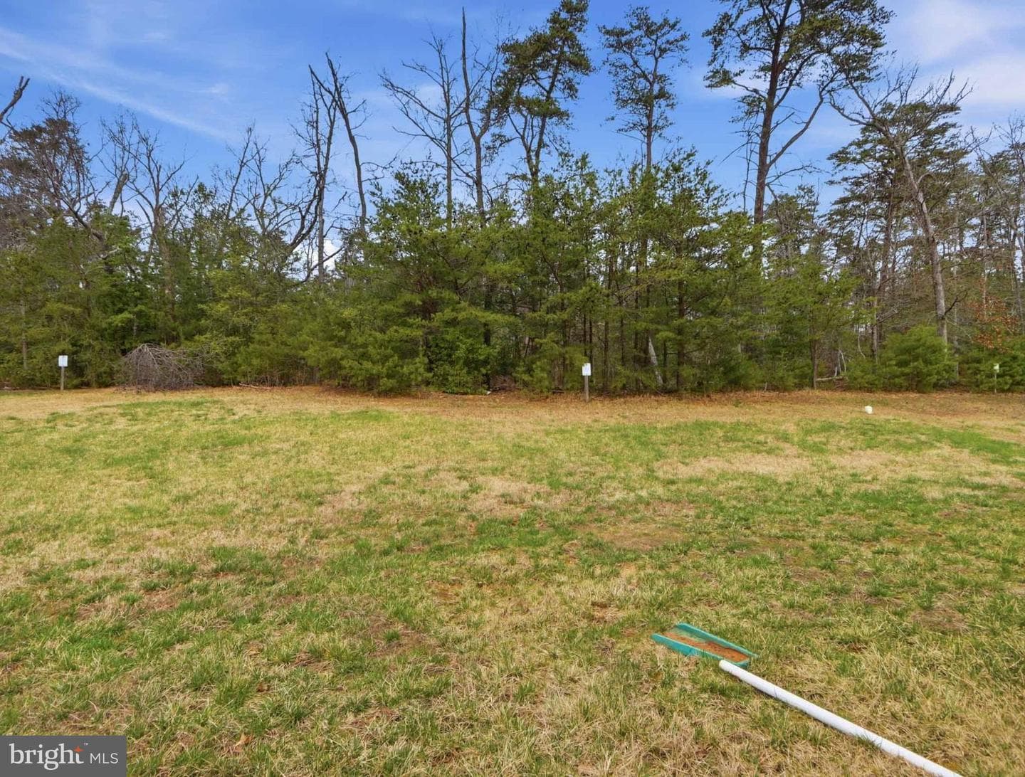 4475 Irish Peach Court photo 27