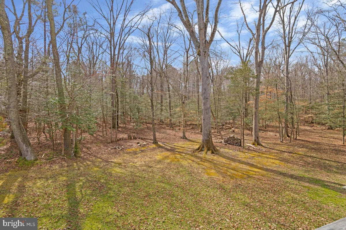 14426 Shadow Ridge Court photo 42