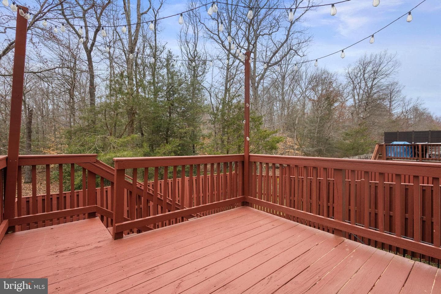 10906 W Point Place photo 36