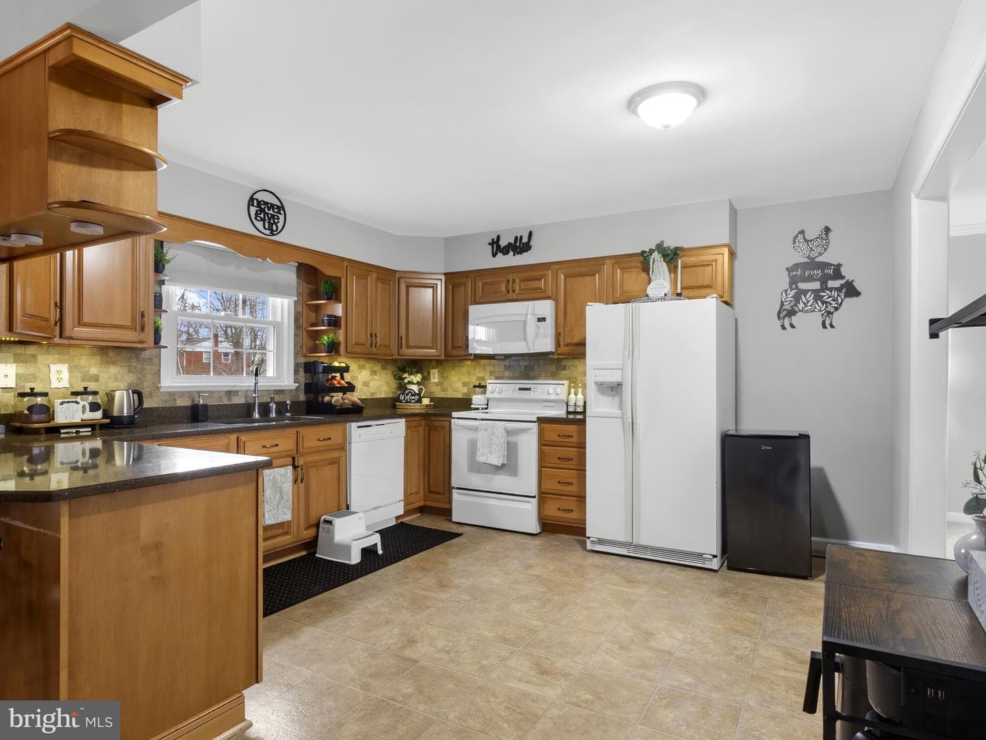 11074 Ellinger Drive photo 12