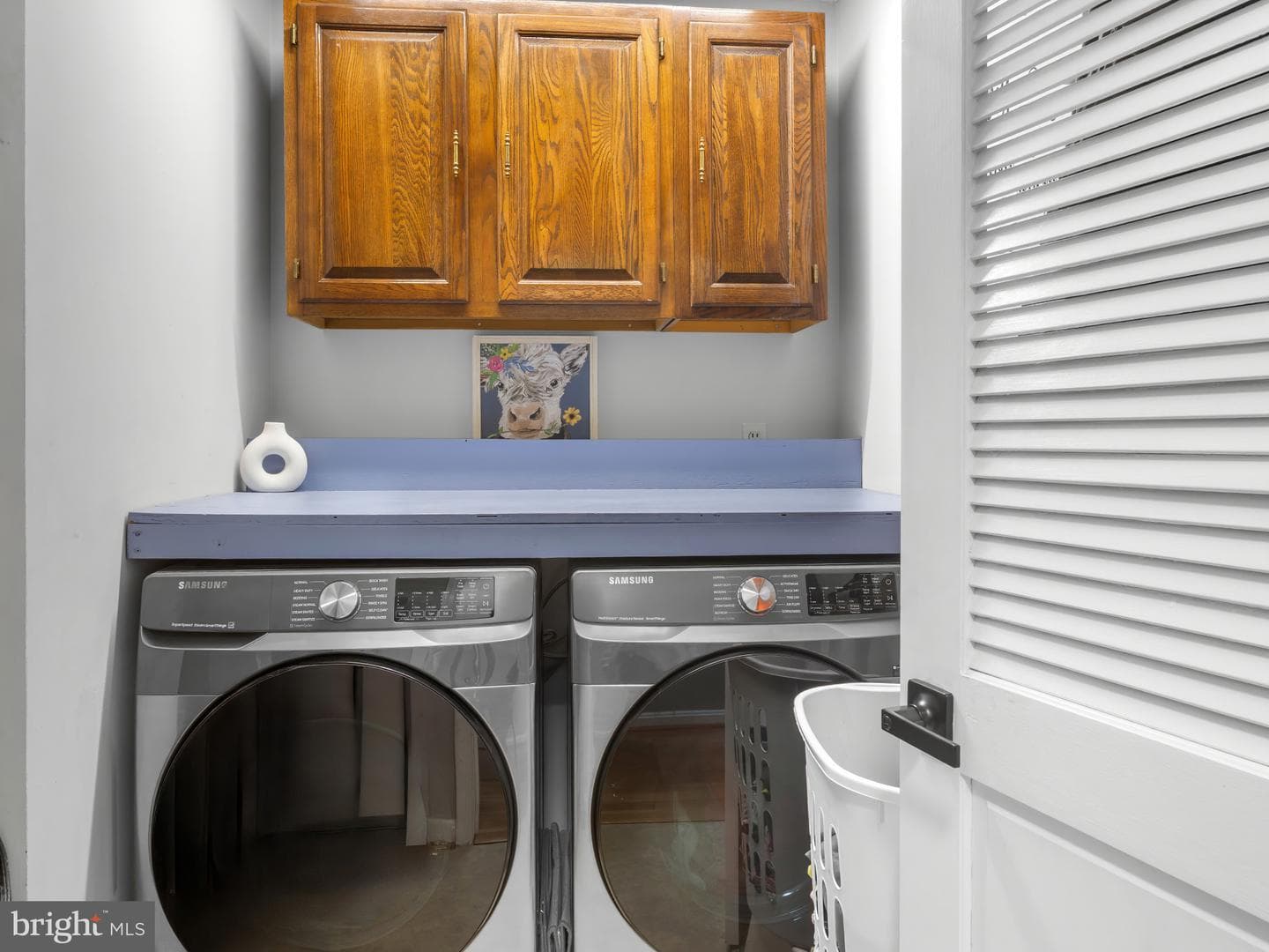 11074 Ellinger Drive photo 21