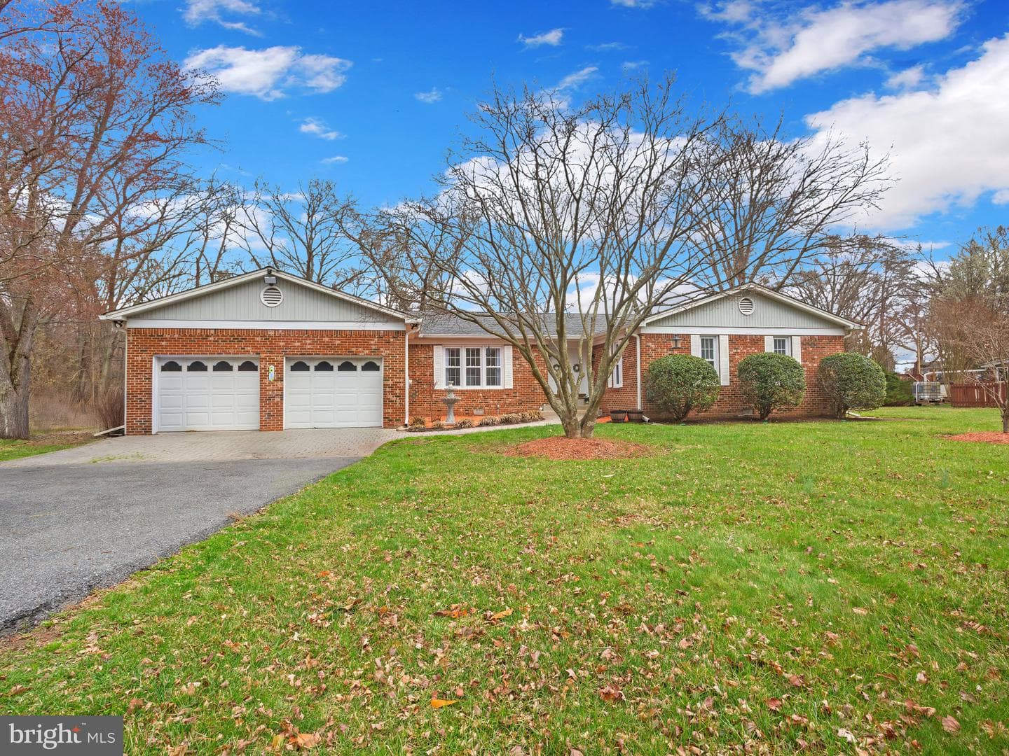 11074 Ellinger Drive photo 3