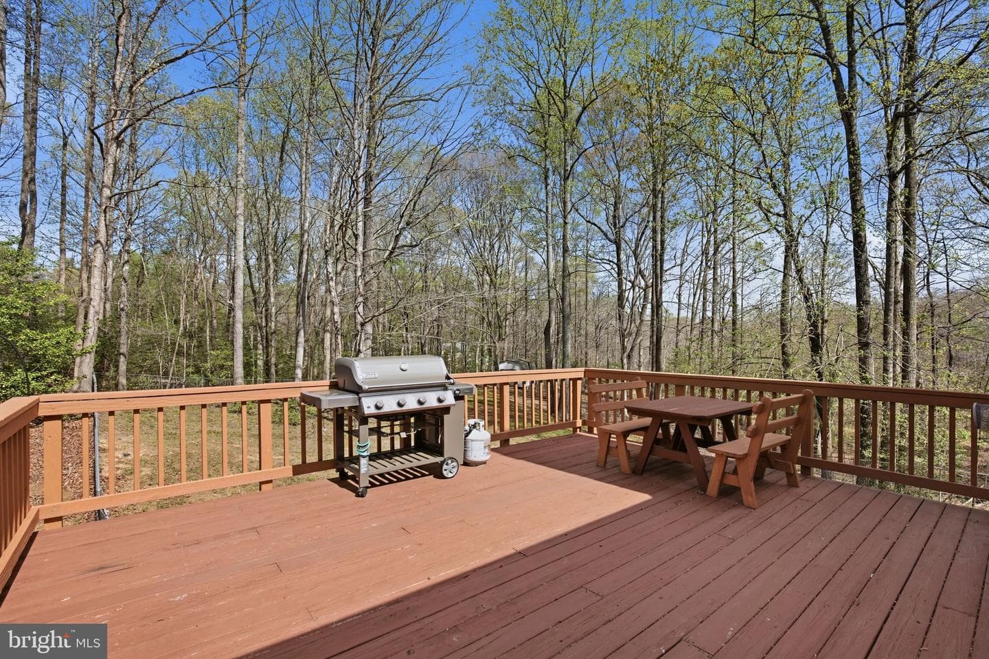 4800 Blueberry Drive photo 15