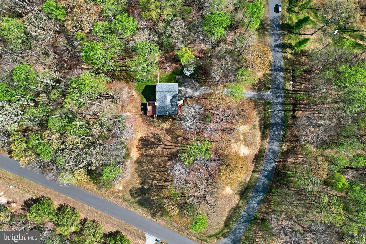4800 Blueberry Drive photo 4