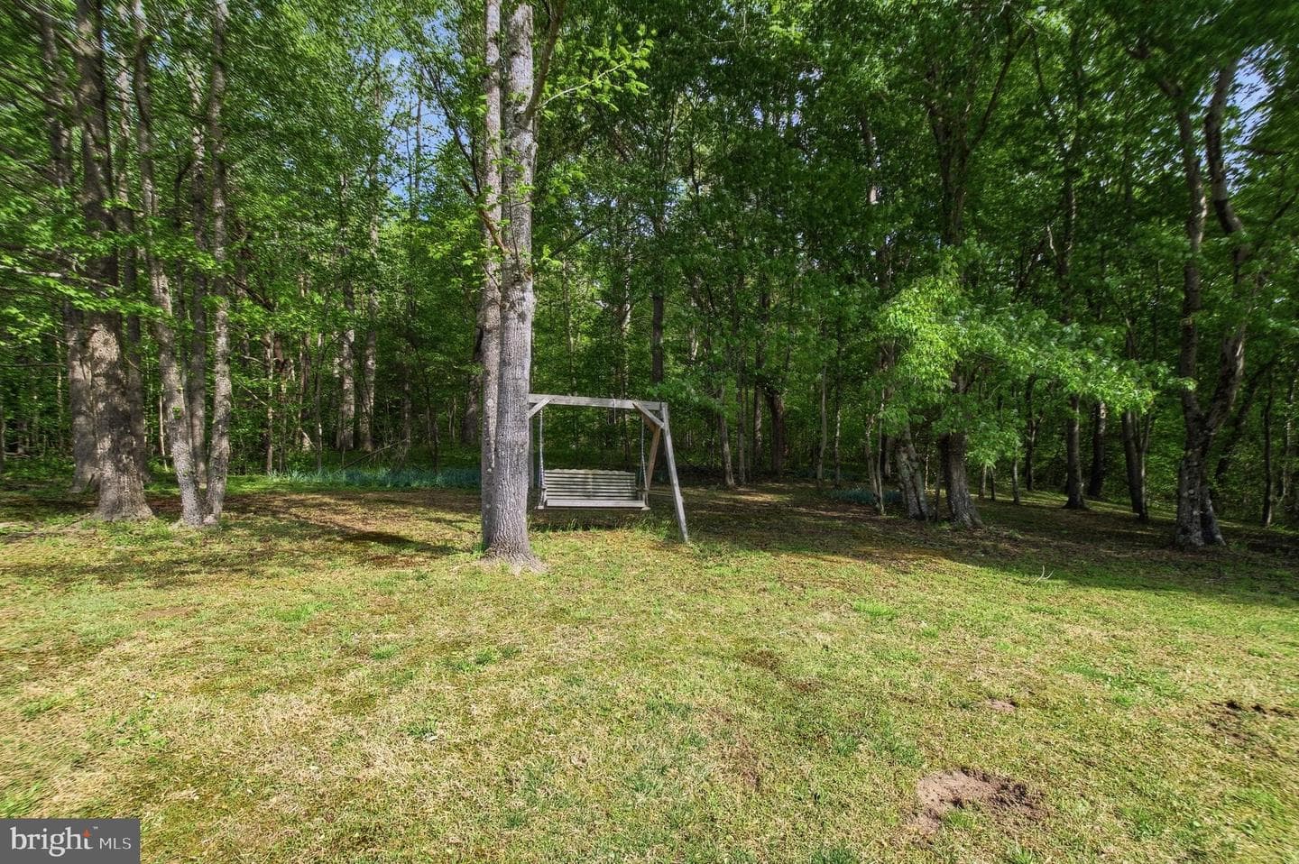 6284 Baywood Court photo 56