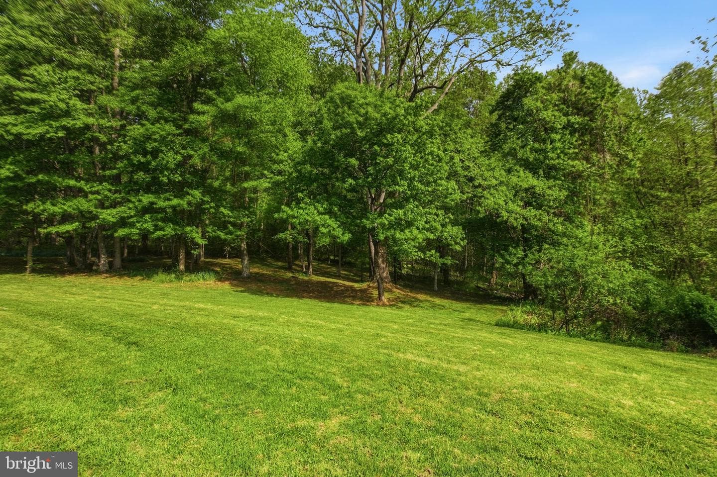 6284 Baywood Court photo 57