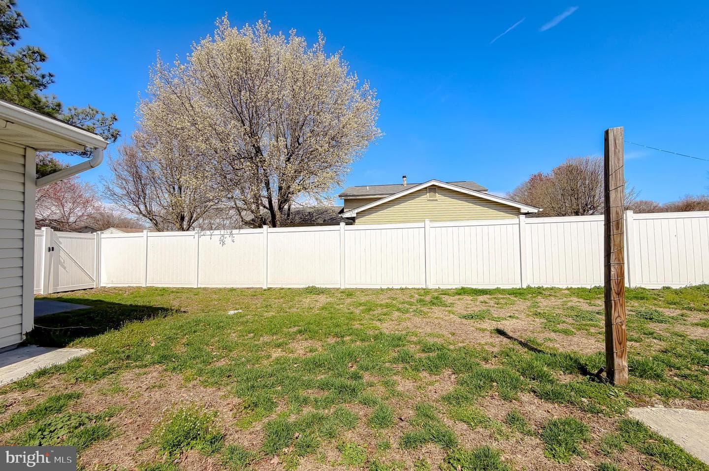 2419 Pinefield Road photo 27