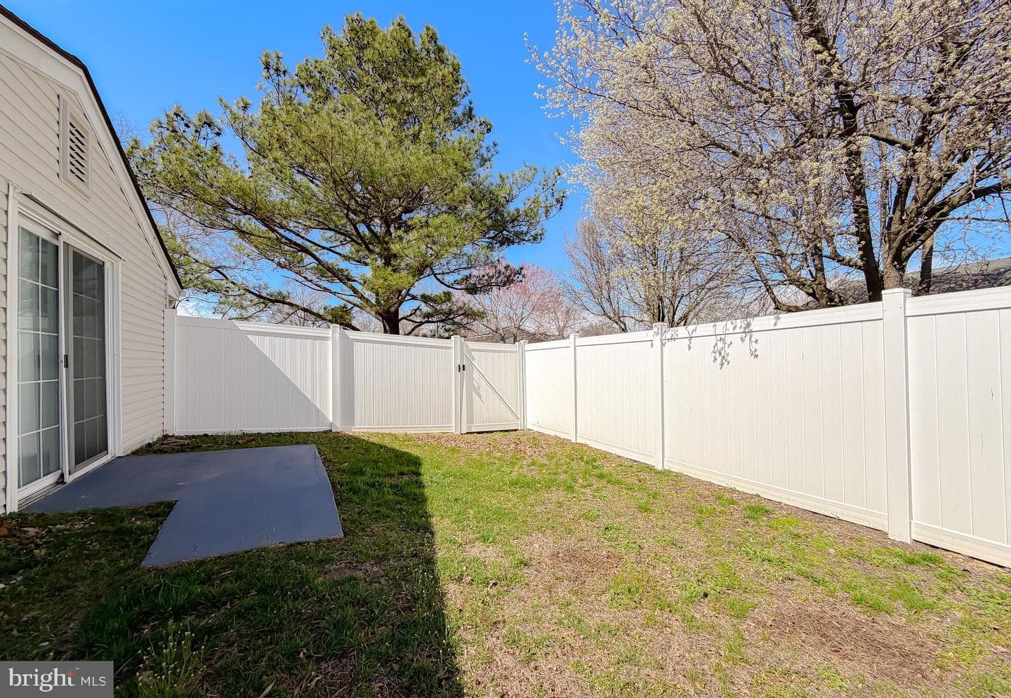 2419 Pinefield Road photo 28