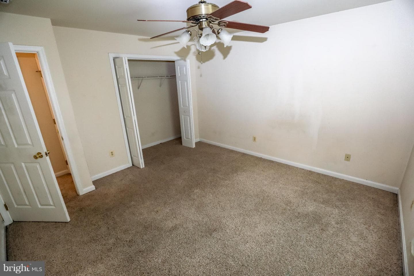 201 Shining Willow Way photo 14