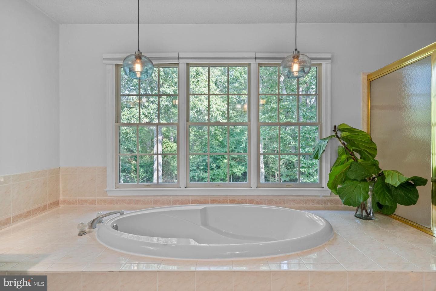11335 Ethan Court photo 50
