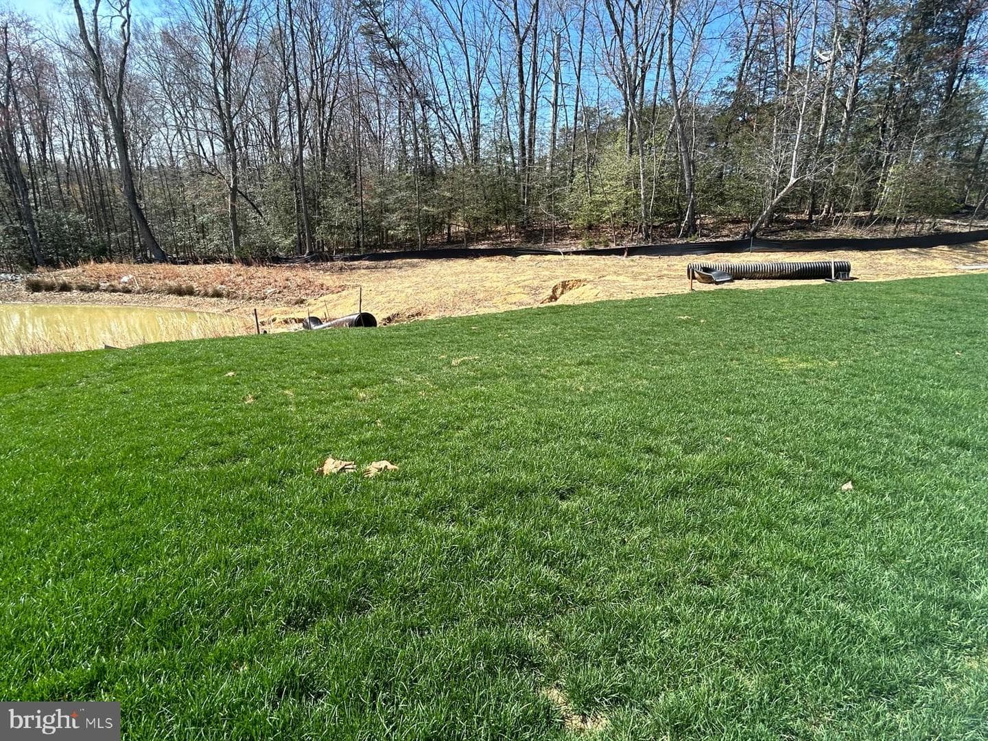 10135 Shenandoah Lane photo 21