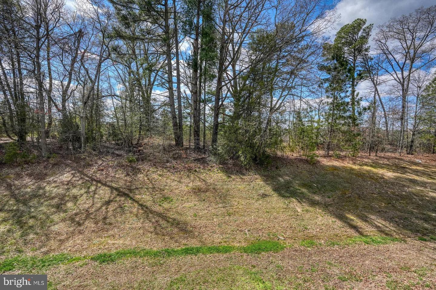 11787 Sunningdale Place photo 18