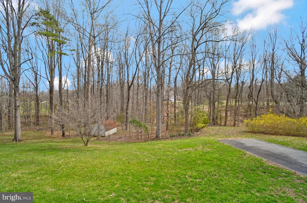 6024 Swanson Creek Lane photo 40