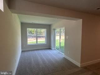 10131 Shenandoah Lane photo 5
