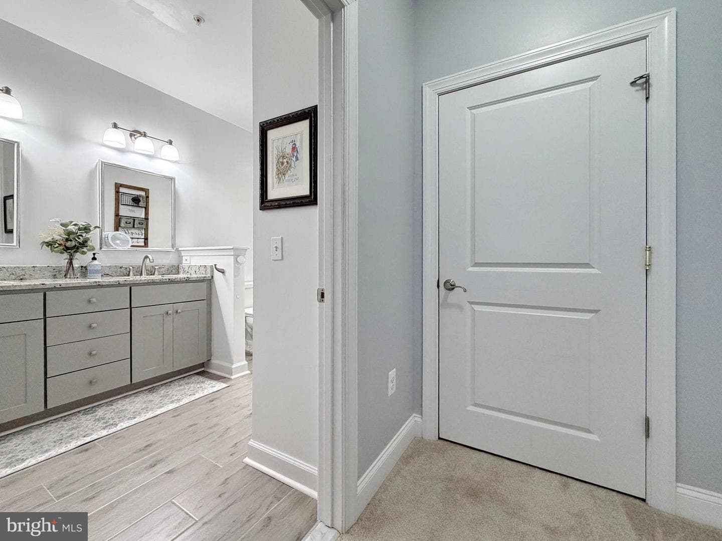 30 Steeplechase Drive photo 32