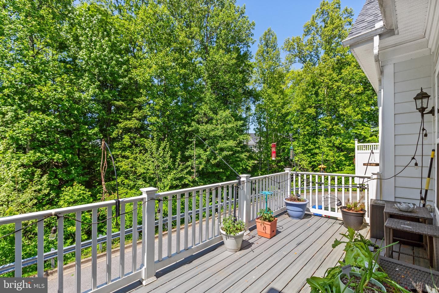 36 Derby Drive photo 12