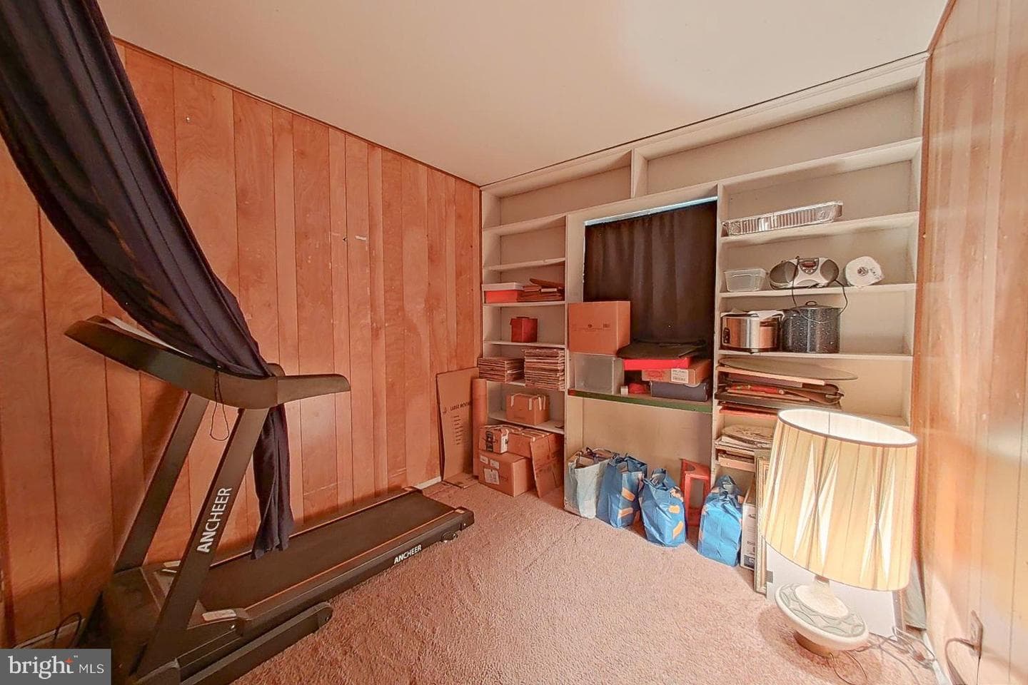 10205 Ford Terrace photo 19