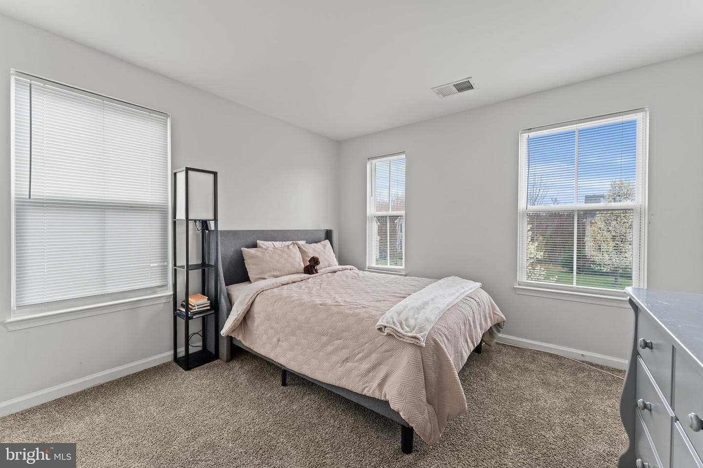 3433 Linden Grove Drive photo 29