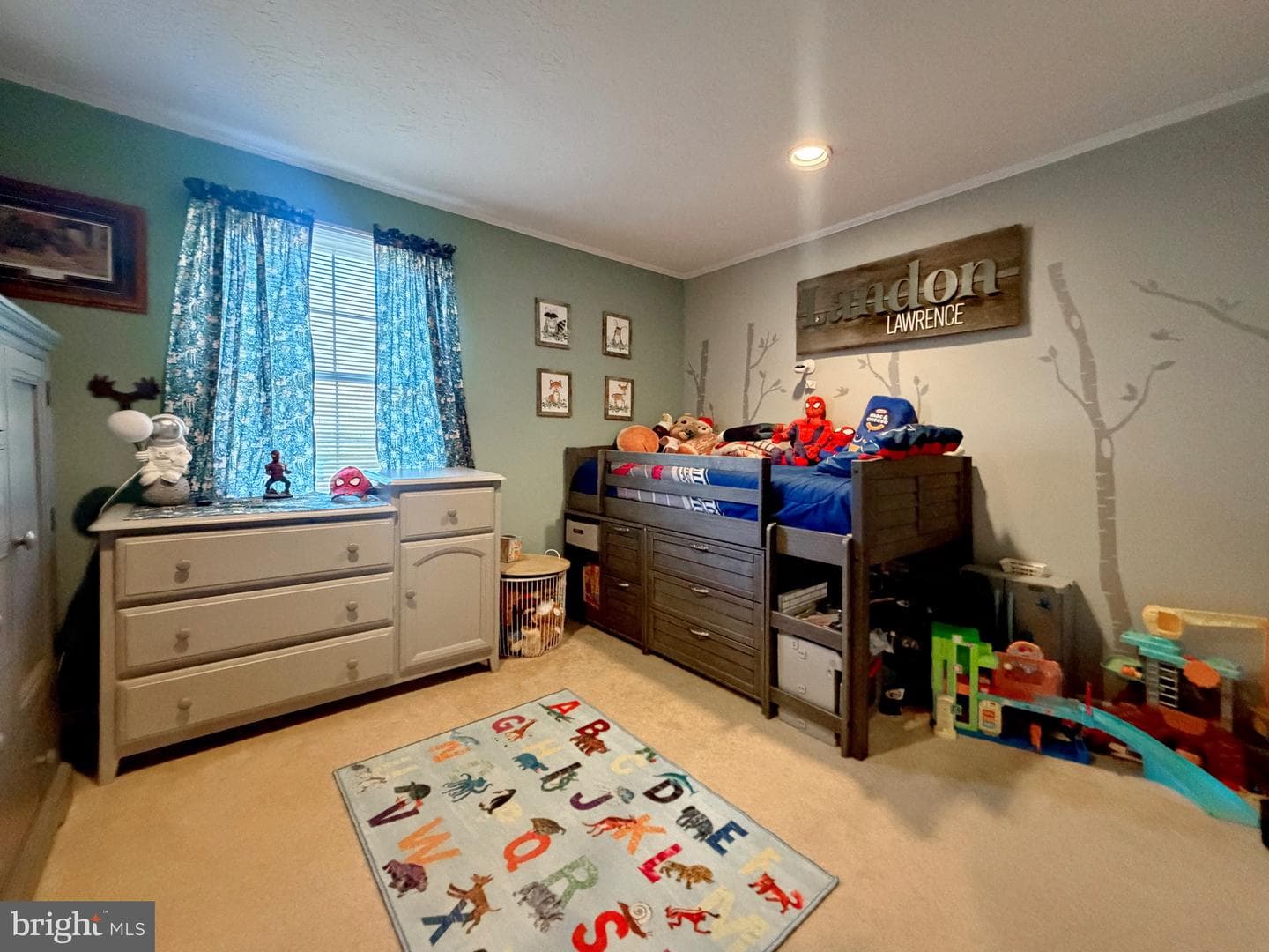 9486 Canary Drive photo 49