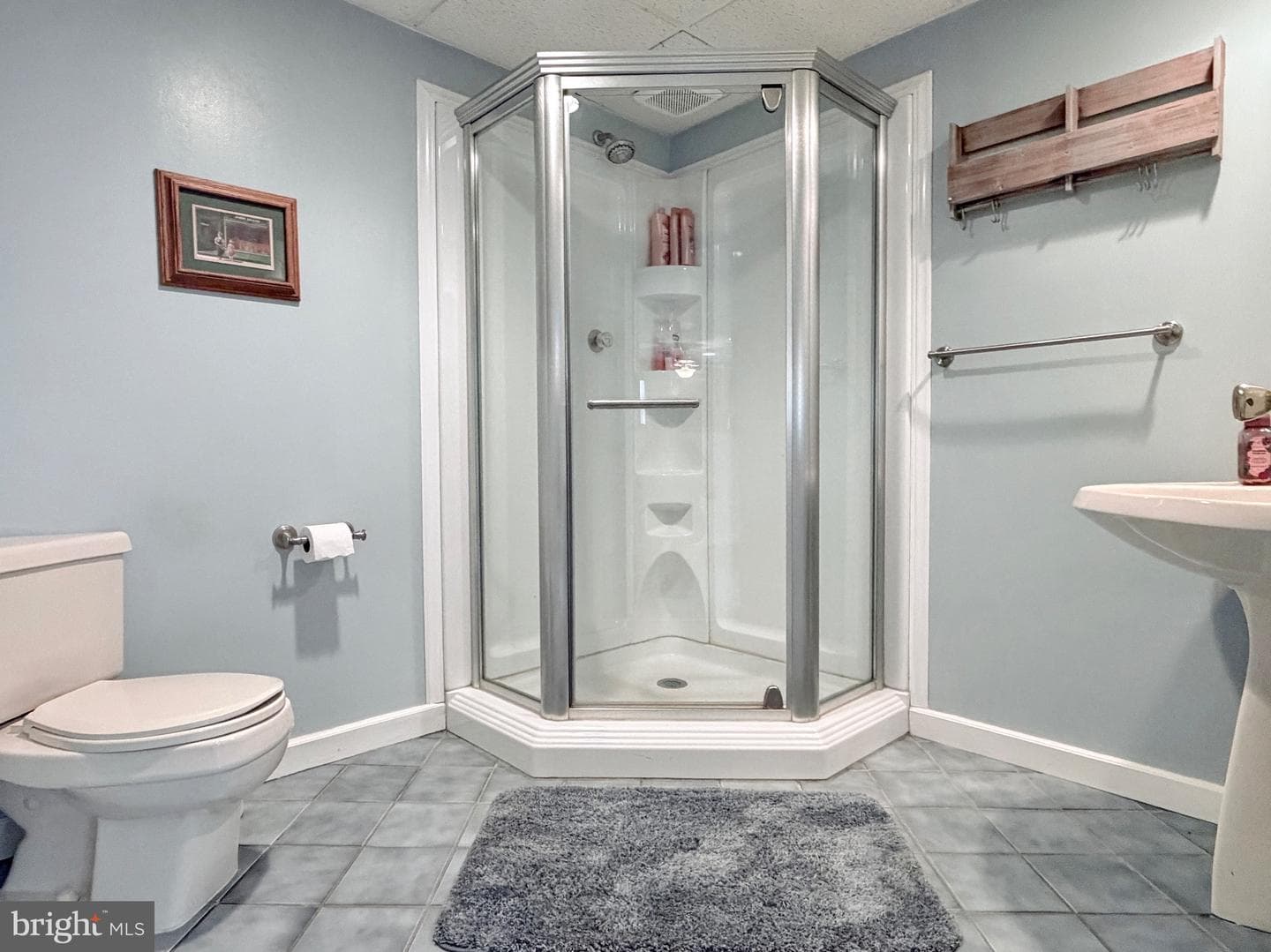 9486 Canary Drive photo 61