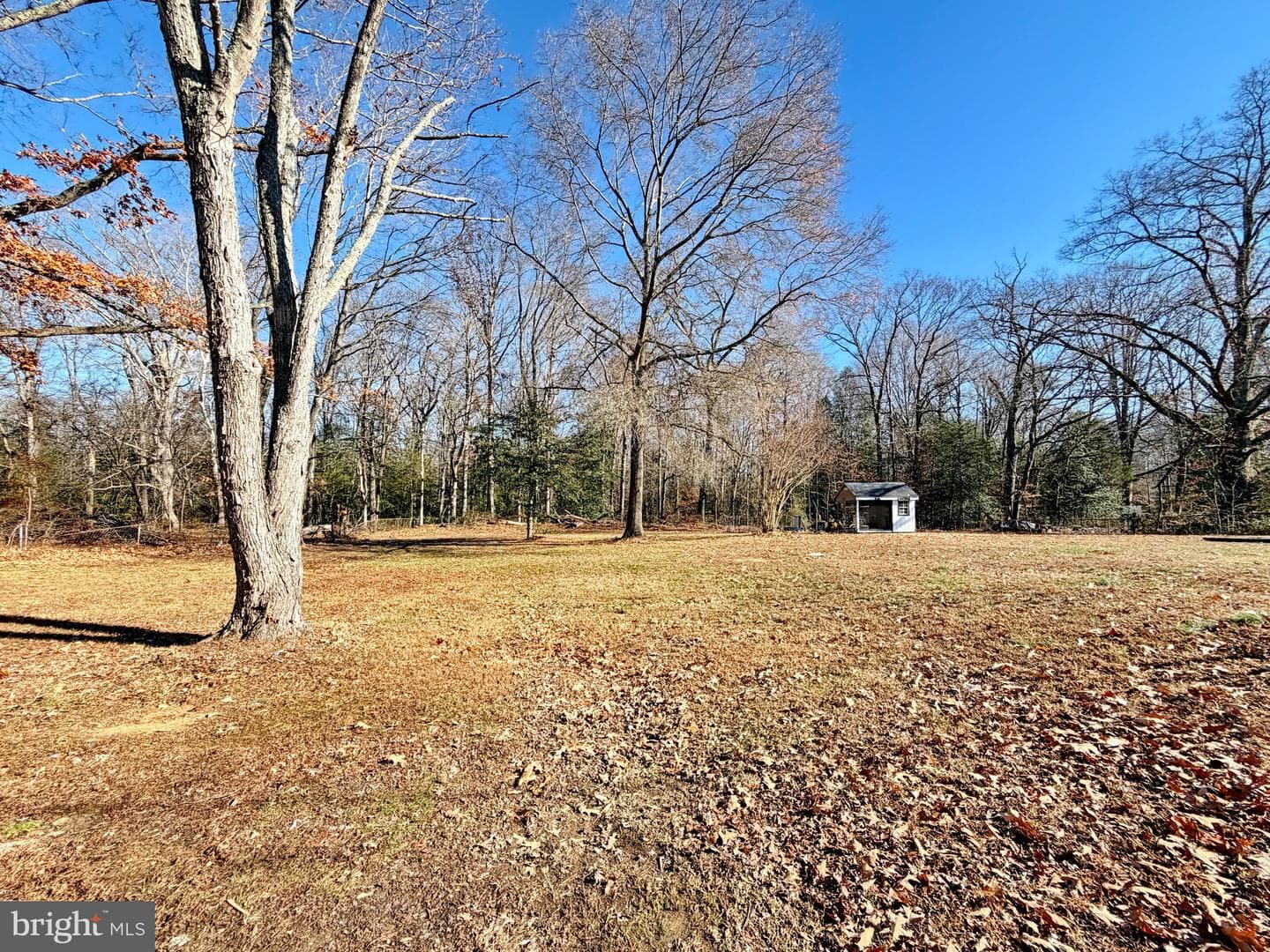 10322 Charles Street photo 59