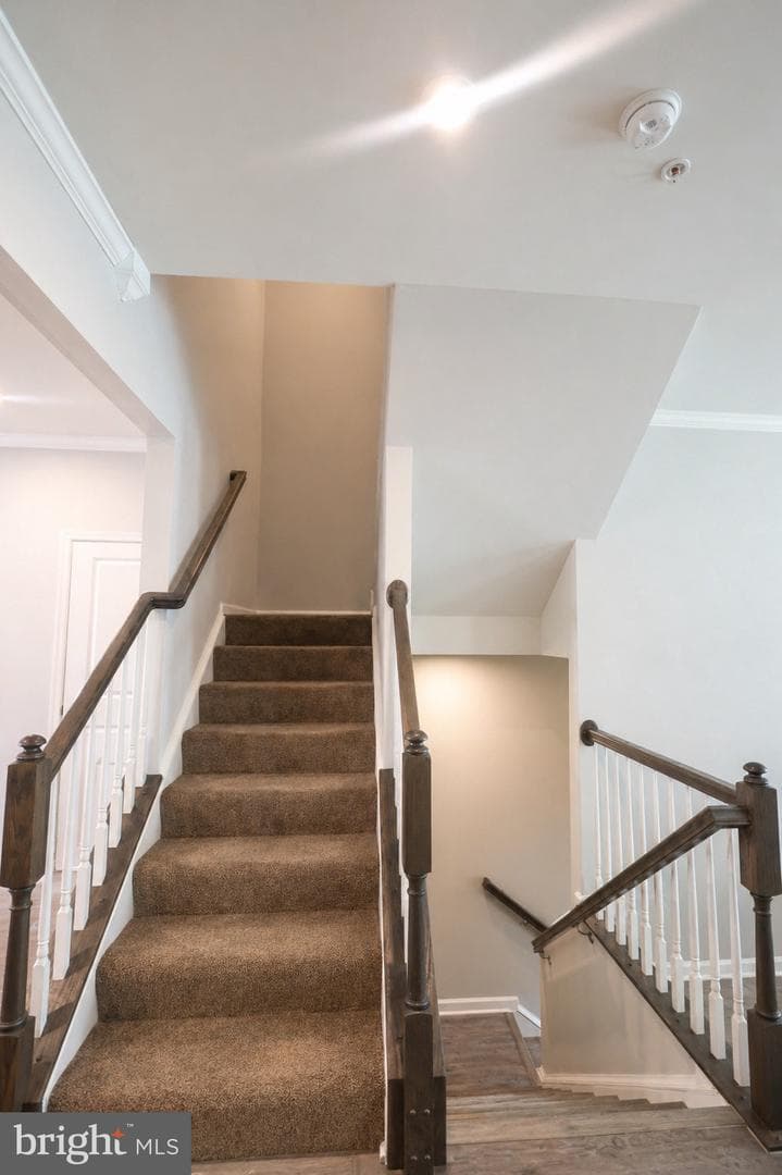 3756 Charterhouse Alley photo 20