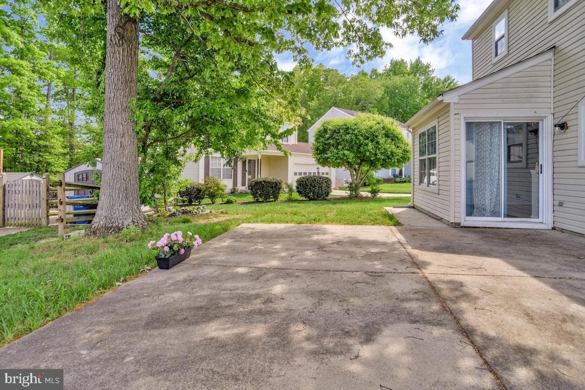 5302 Treefish Court photo 31