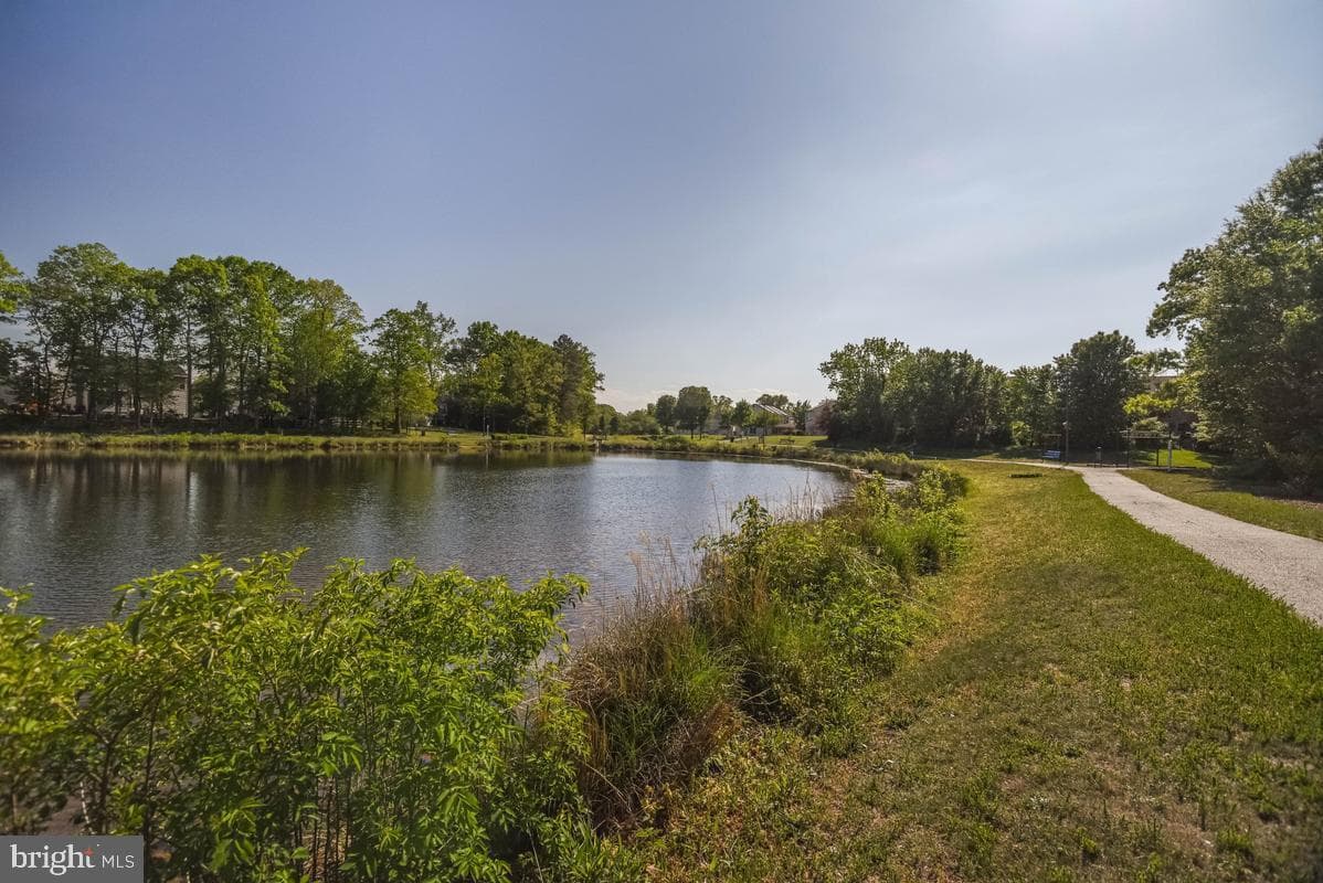 5302 Treefish Court photo 40