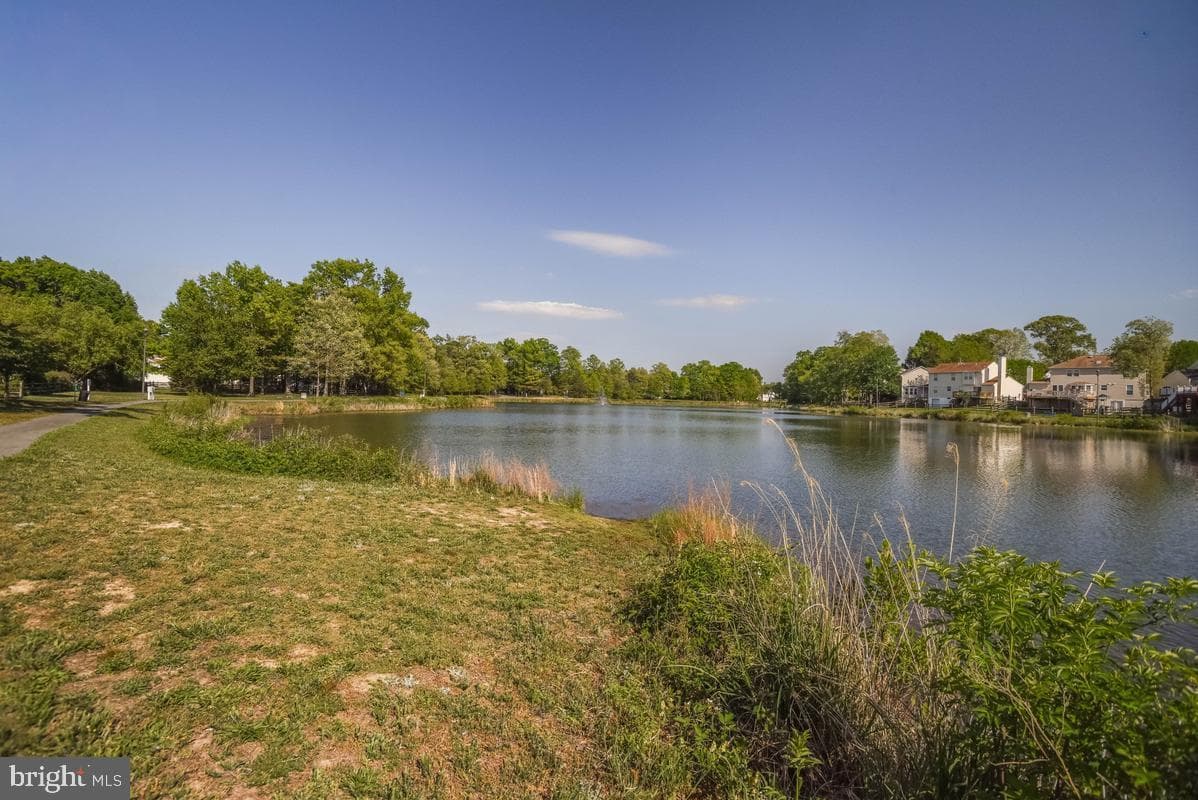 5302 Treefish Court photo 41