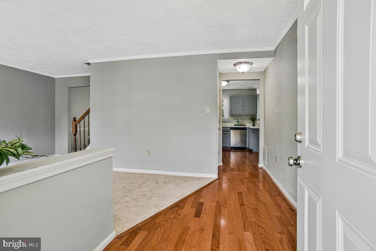 5302 Treefish Court photo 6