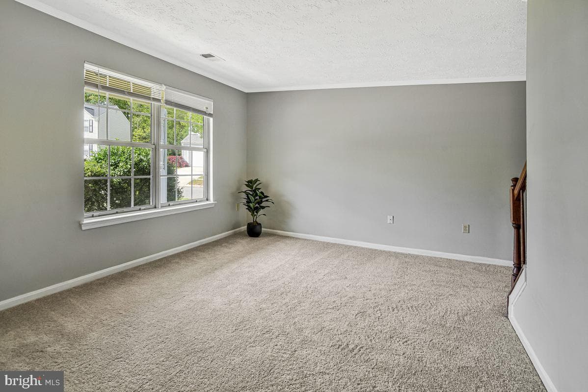 5302 Treefish Court photo 8