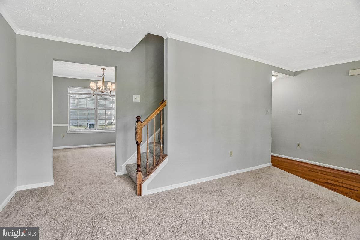 5302 Treefish Court photo 9
