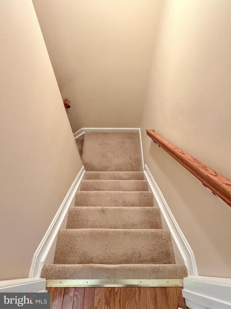 1019 Norfolk Drive photo 60