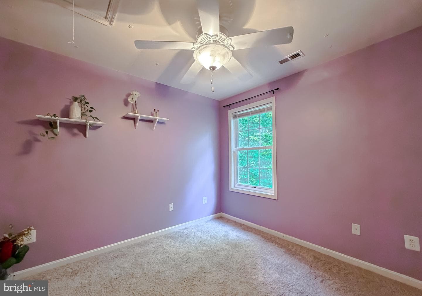 6020 Port Tobacco Road photo 16