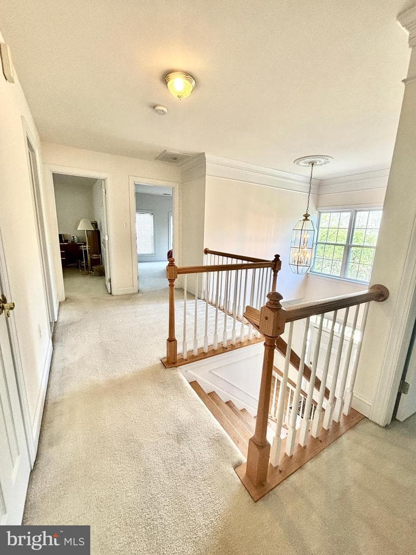 6545 Chelsea Way photo 35