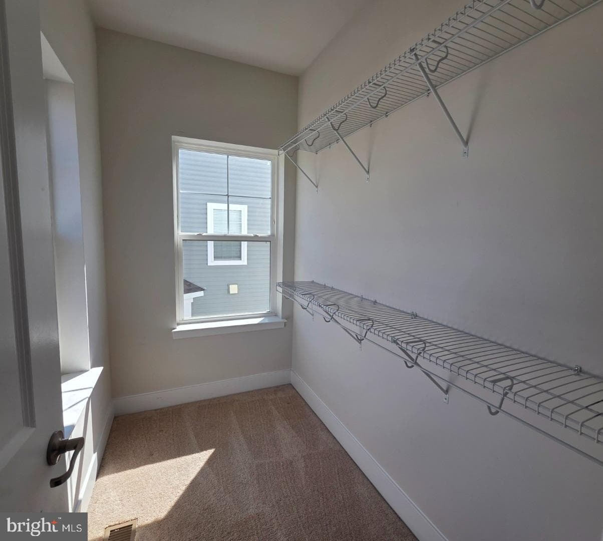 11410 Jane Austen Lane photo 21