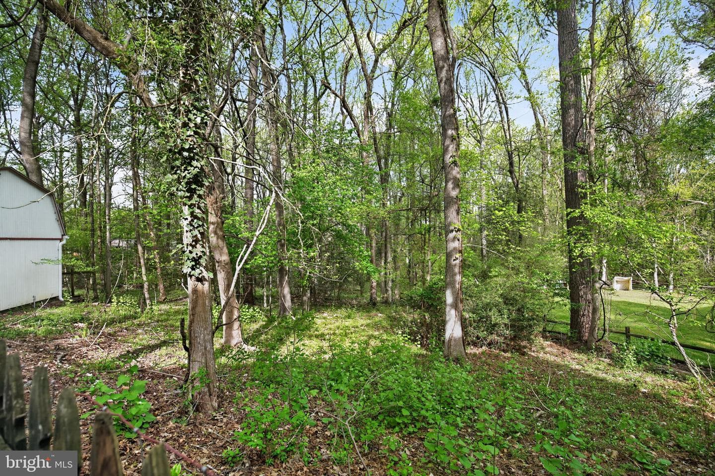 507 Chestnut Court photo 50
