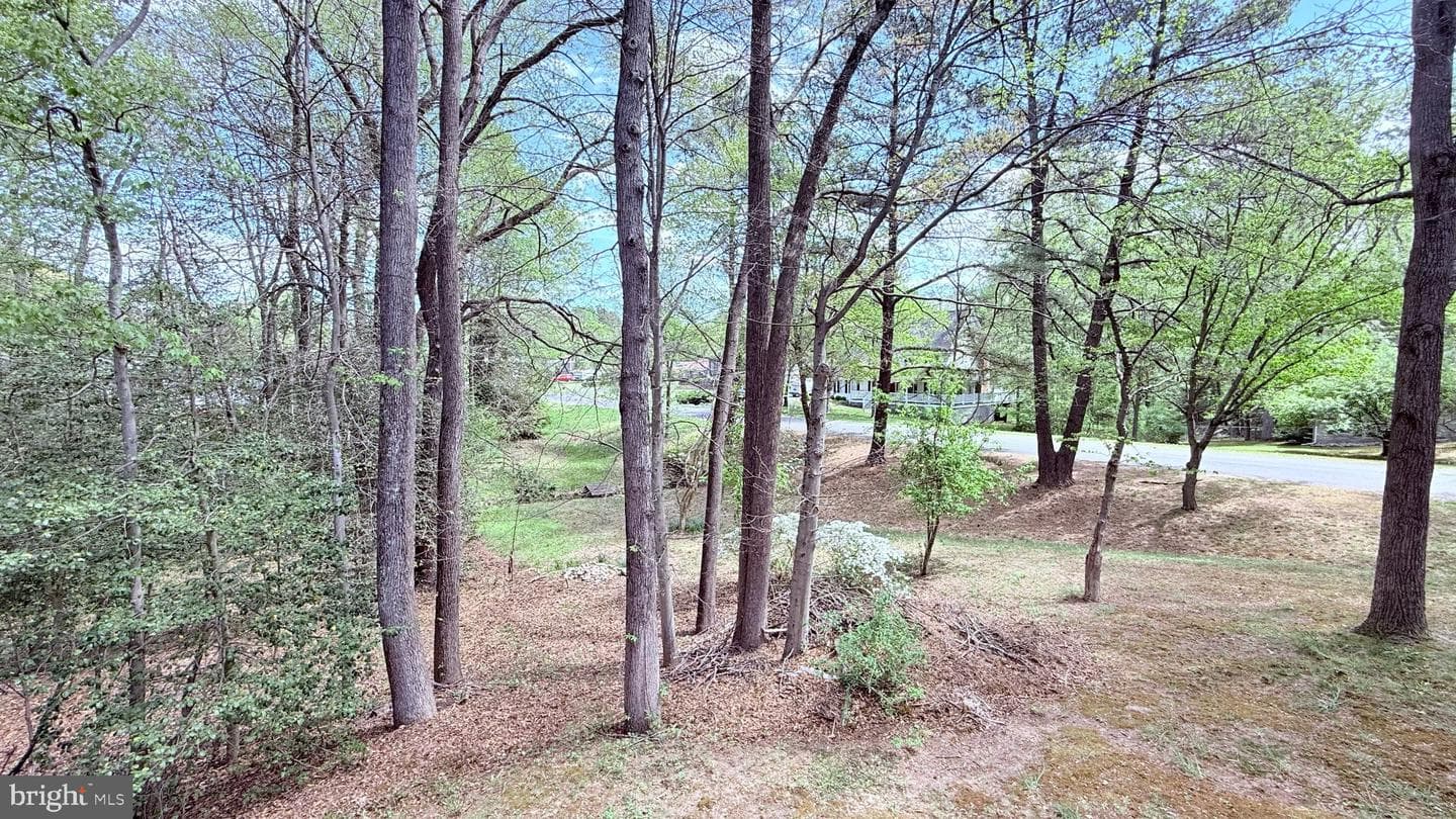 514 Dogwood Court photo 45