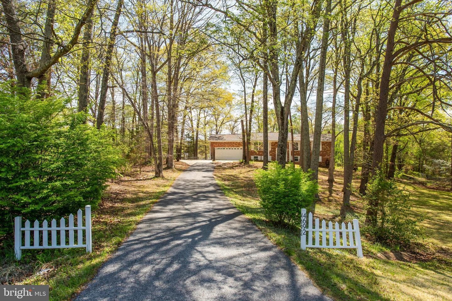 4692 Duley Drive photo 3