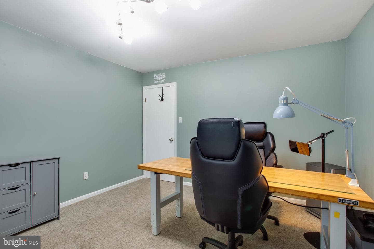 4692 Duley Drive photo 42